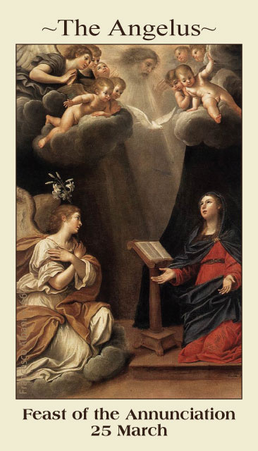 THE ANGELUS PRAYER CARD